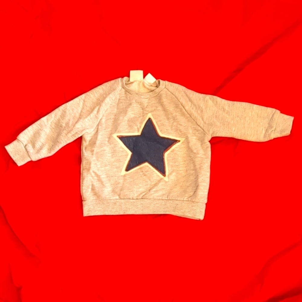 ZARA Size 12-18M Sweatshirt